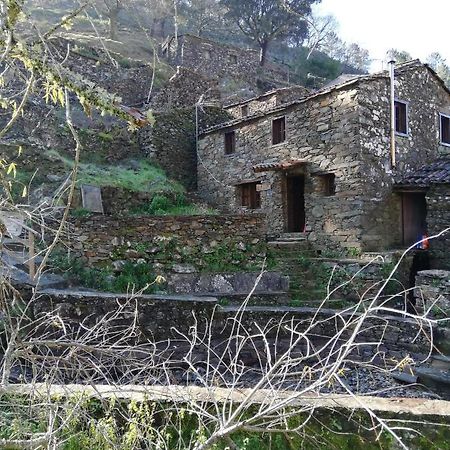 شقة Casa De Baixo Lousã المظهر الخارجي الصورة